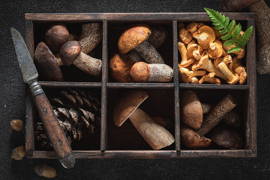 wild-mushrooms-in-old-wooden-box